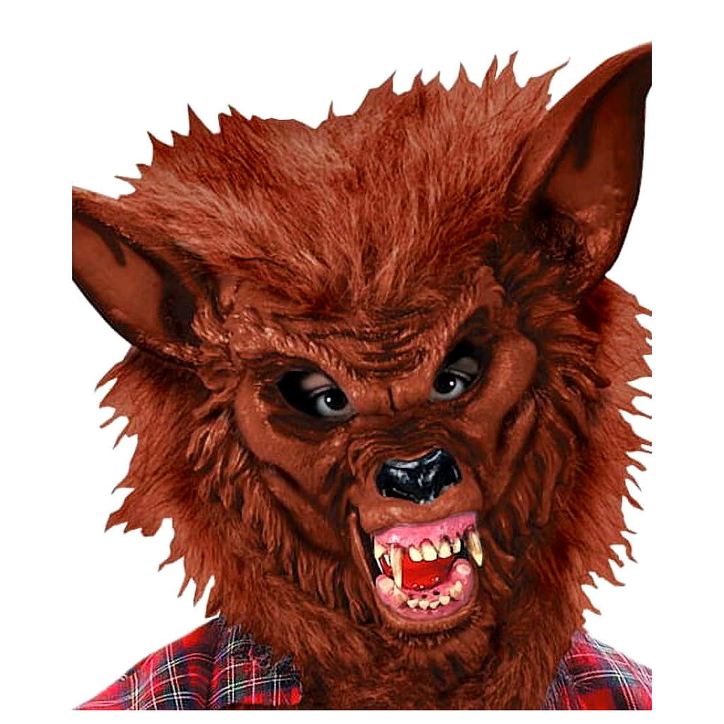  Werewolf Boys' Halloween Dress Up / Role Play Costume, L