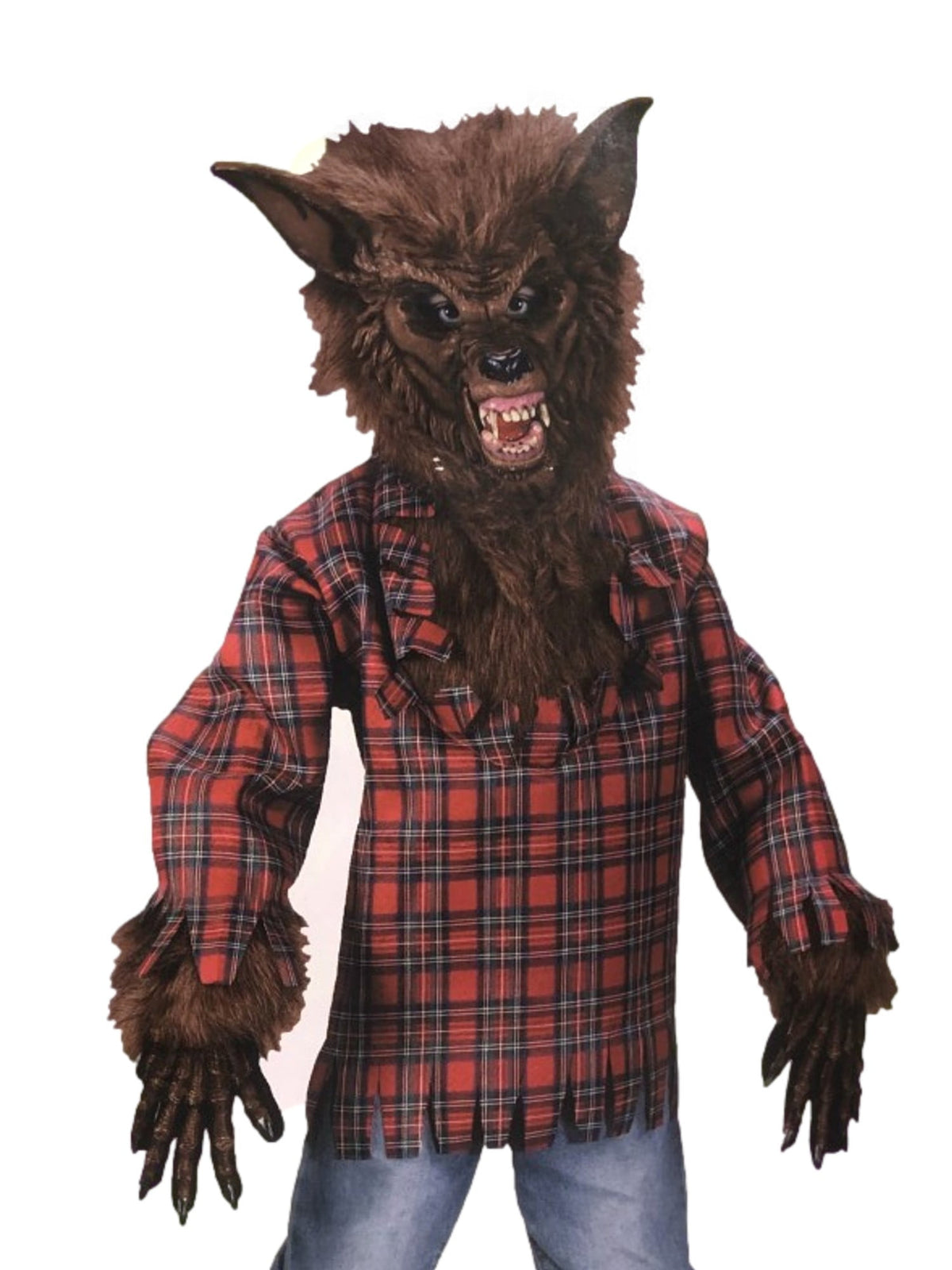  Werewolf Boys' Halloween Dress Up / Role Play Costume, L