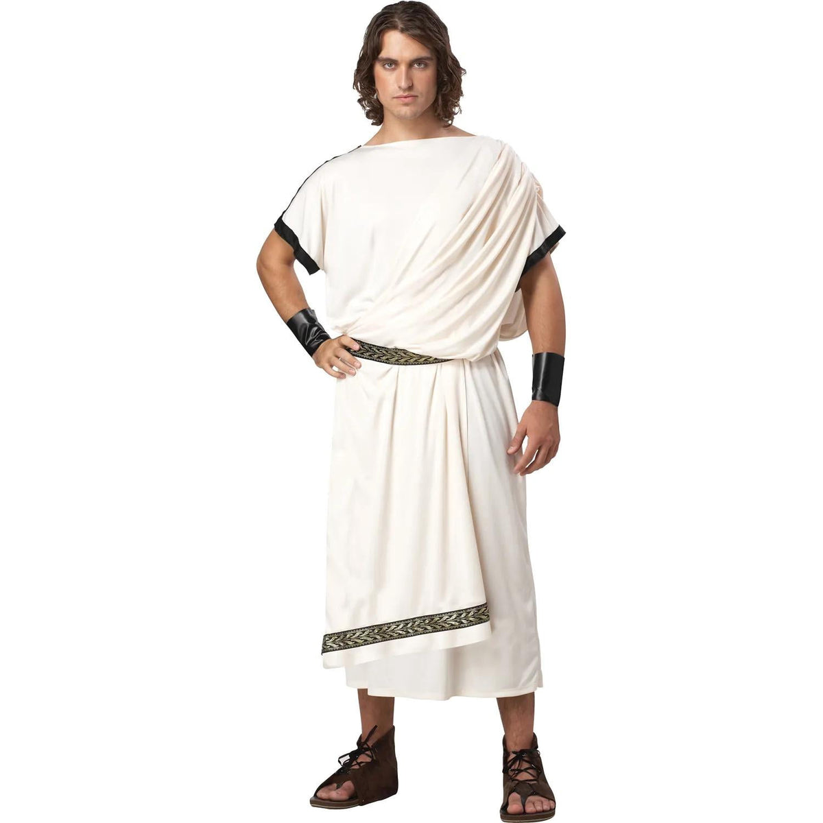  Deluxe Classic Toga Men's Halloween Fancy-Dress Costume for Adult, One Size