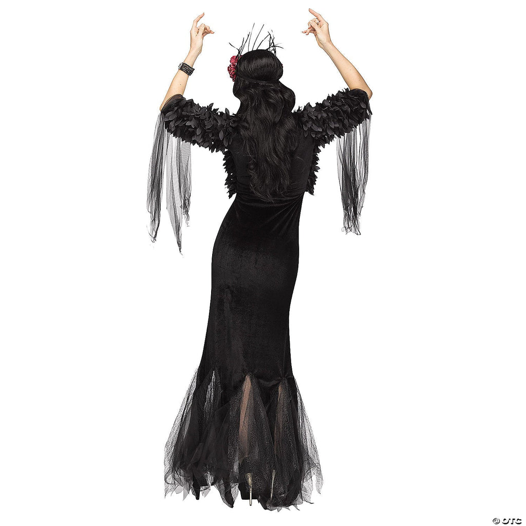 Raven Mistress Women\'s Adult Halloween Costume