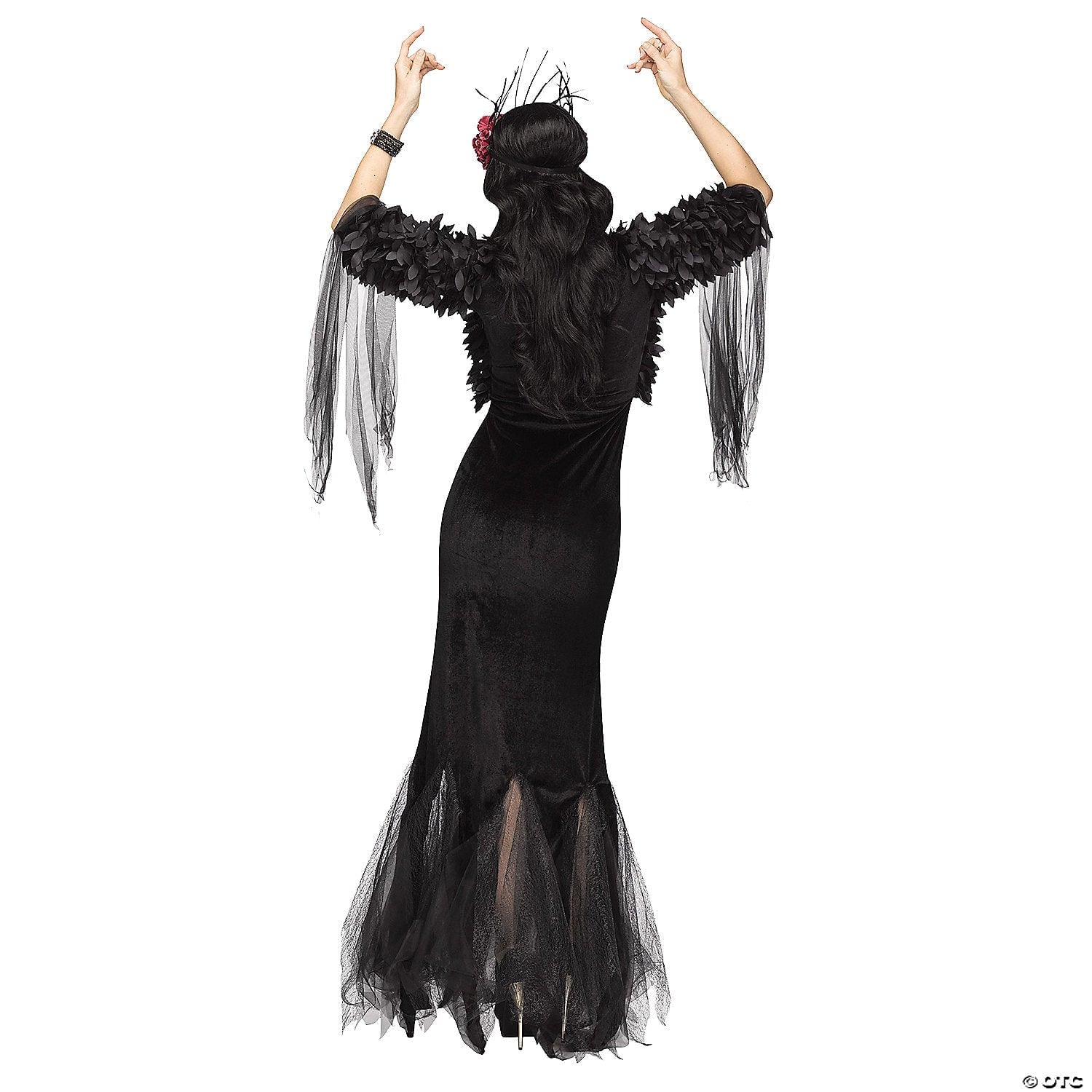 Raven Mistress Women\'s Adult Halloween Costume