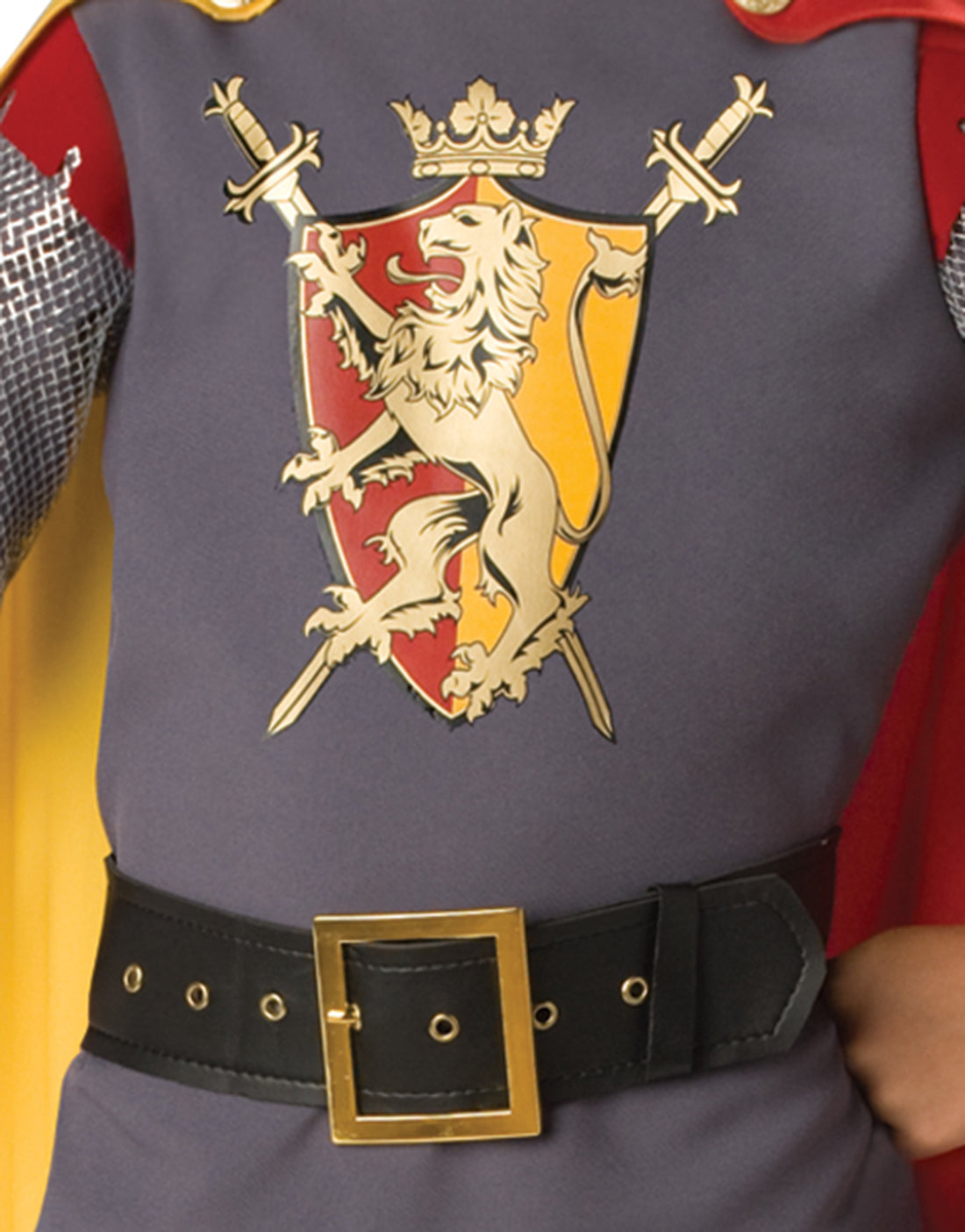  Loyal Knight Incharacter Halloween Fancy-Dress Costume for Child, Little Boys S (6)