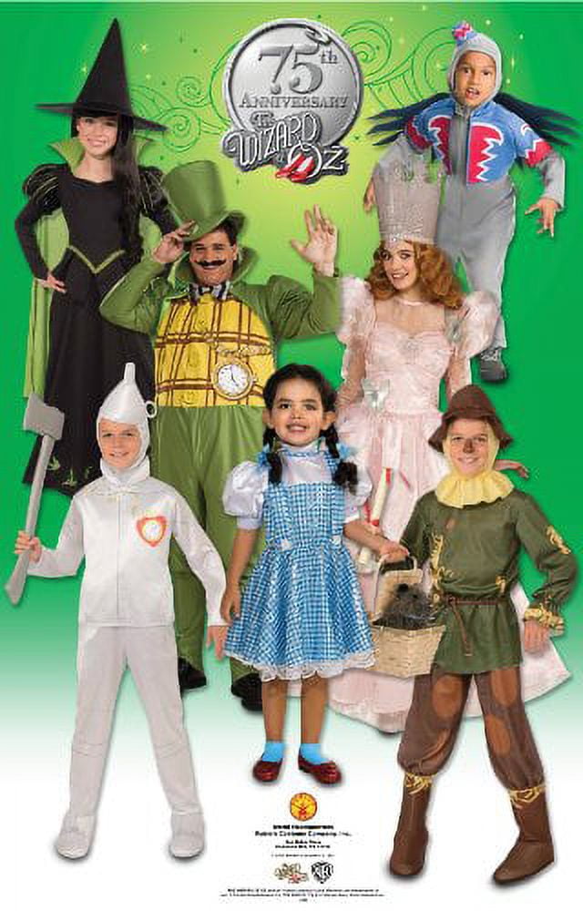 Girl's Wicked Witch of the West Halloween Costume - Wizard of Oz